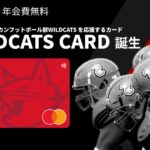 信州大学アメリカンフットボール部WILDCATSの応援クレカ「信州WILDCATS CARD」誕生